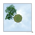 Boutique Cartes (Faire-part) 